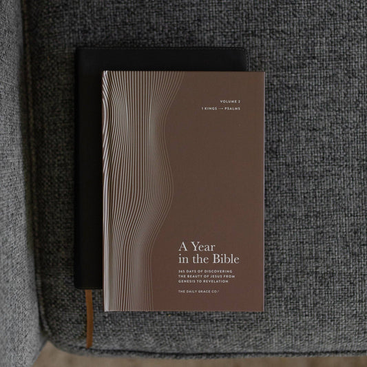A Year in the Bible | Men's Study