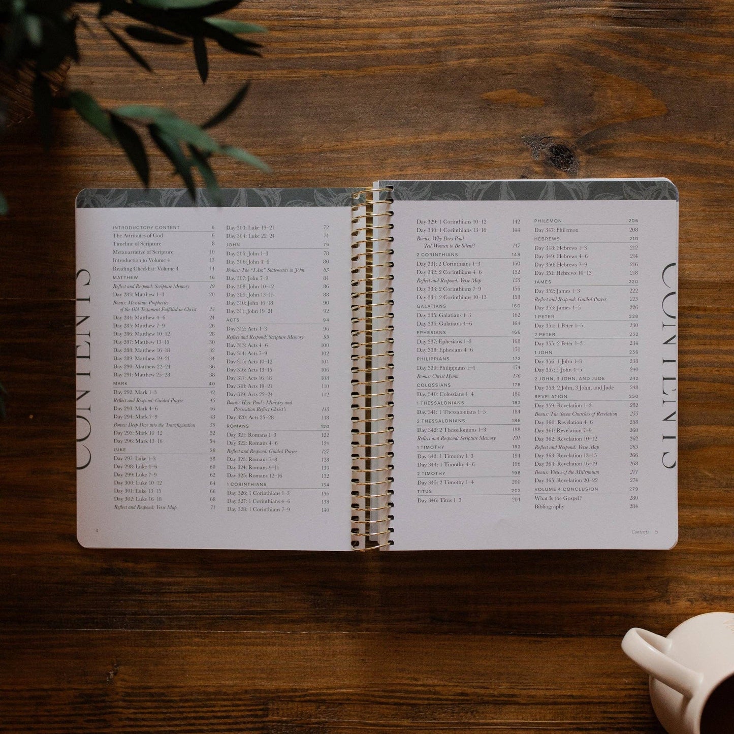 A Year in the Bible
